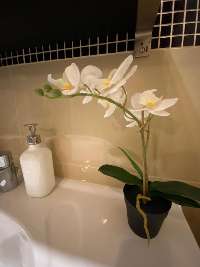Location In The Heart Of The City, 2 Bedrooms, 2 Bathrooms * Budapesta